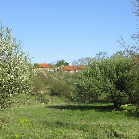 Vila Arcadian Stone House In A Quiet Landscape, Leonidion Poúlithra Exteriér fotografie