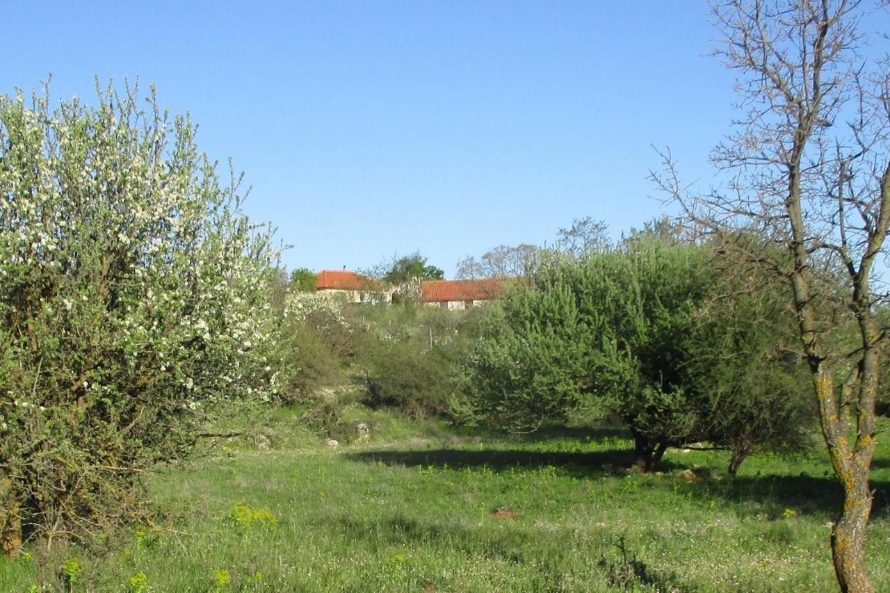 Vila Arcadian Stone House In A Quiet Landscape, Leonidion Poúlithra Exteriér fotografie